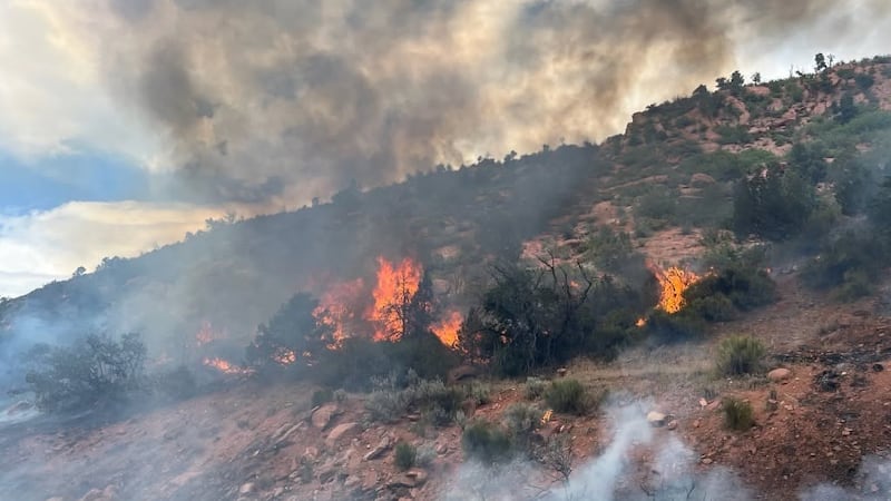 The Paradise Creek Fire burns on the side of Interstate 70 on June 9, 2026.