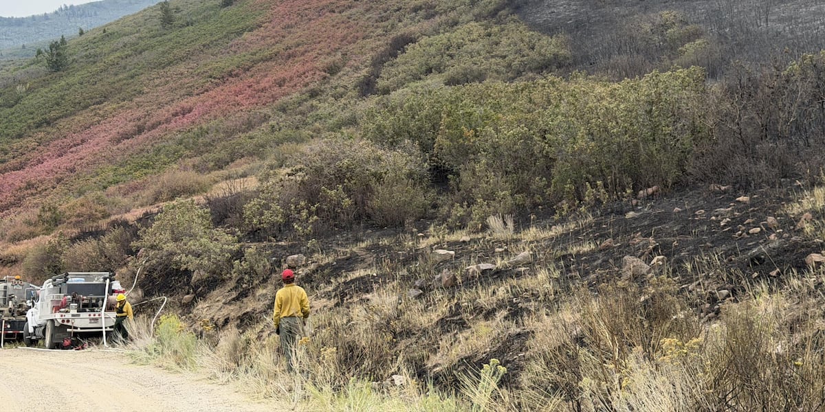 310 Fire near Parachute reaches 65% containment