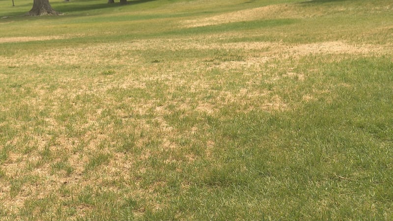 The city of Grand Junction is planning to change the grass in some city parks due to drought...