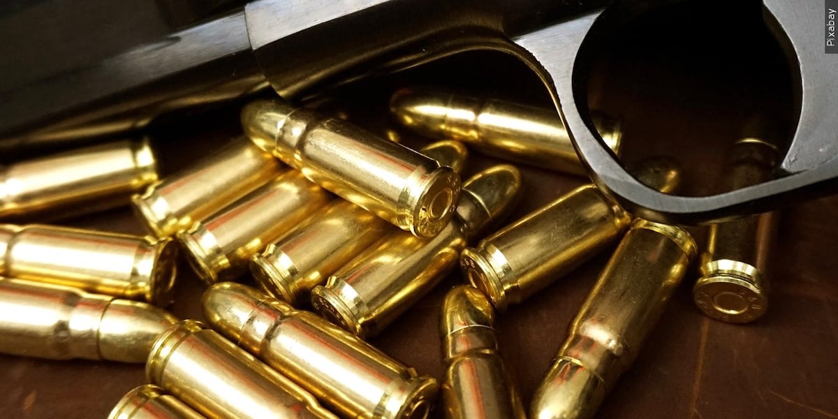 Fired Rounds Grand Junction police seek tips after more than 50 rounds fired near homes