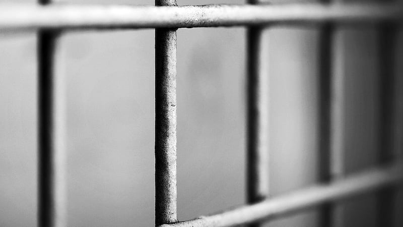 Generic jail bars
