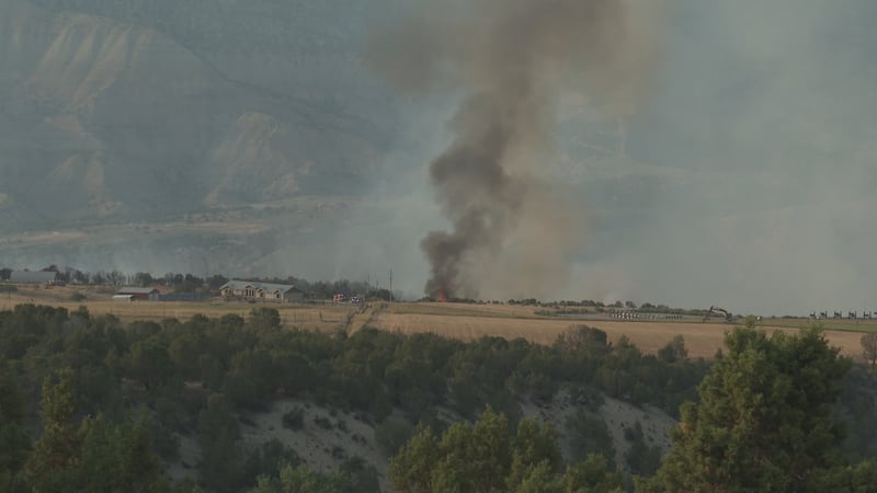 With wildfires all around us, Stage 2 Fire Restrictions are in effect across Mesa County, and...