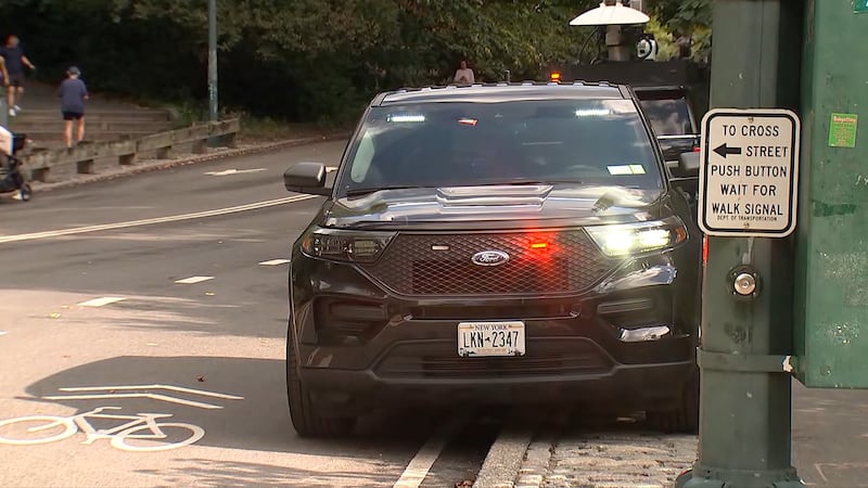 A 71-year-old man cycling in New York’s Central Park was thrown from his bike and killed after...