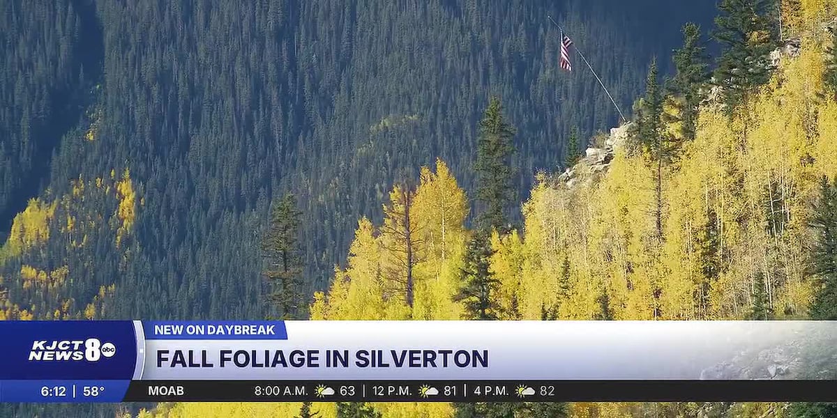 Fall Into Pro Week Colorado’s 2026 fall foliage, when and where will be the best to catch ...