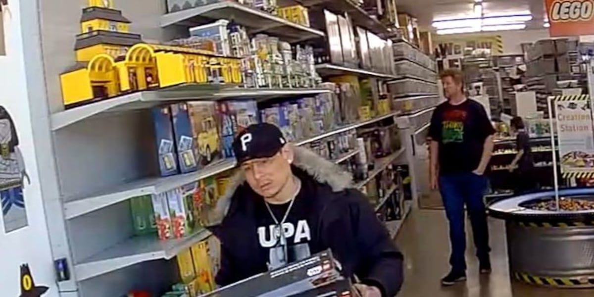 Ebricks Lego Larceny: Thief takes off with $350 worth of Legos from eBricks