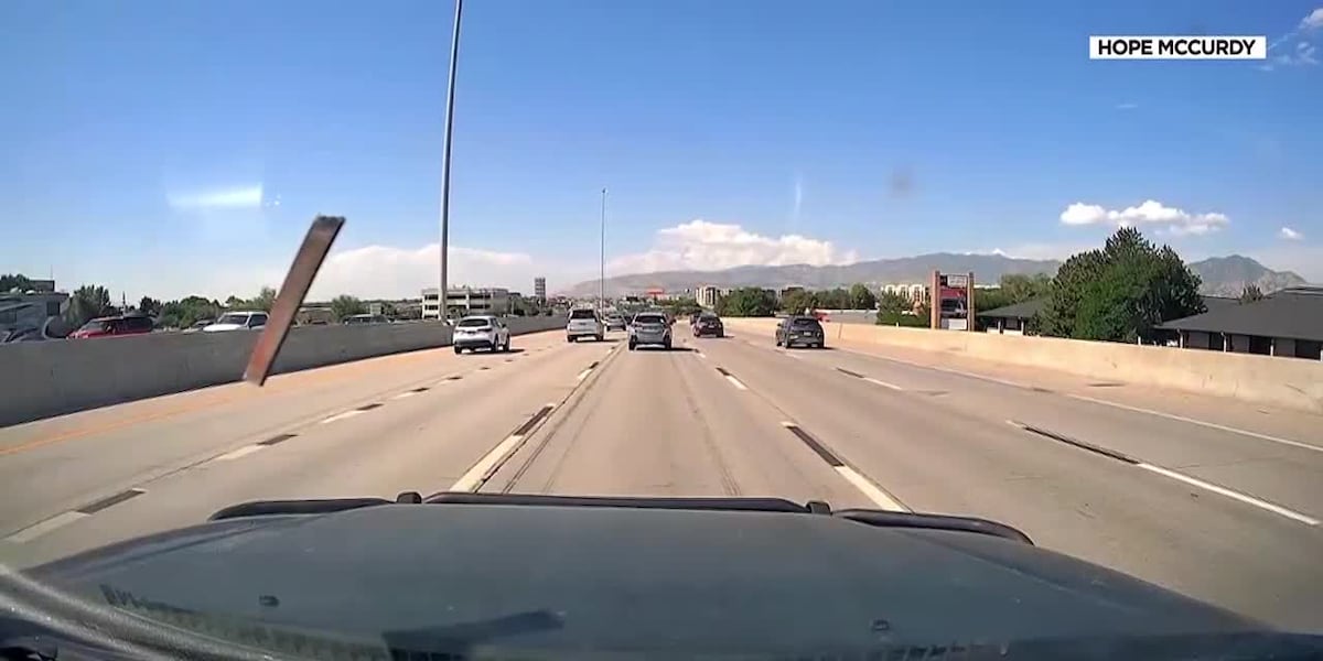 ‘I thought I had been impaled’: Metal object crashes through windshield ...