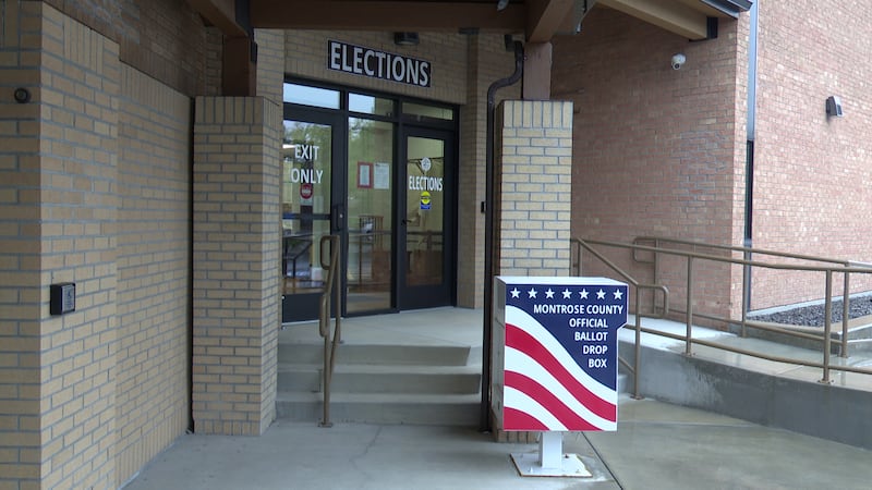 Residents allege partisan material was displayed near elections office as voting began
