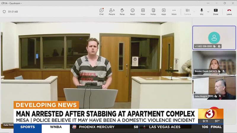 A Mesa man is accused of stabbing his wife 24 times because he wanted to make her stop...