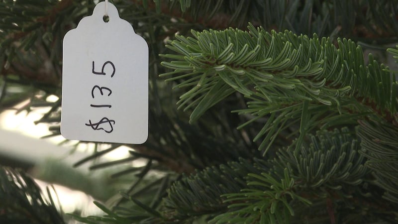 Local scouts sell trees to fund summer camp, supplies and uniforms